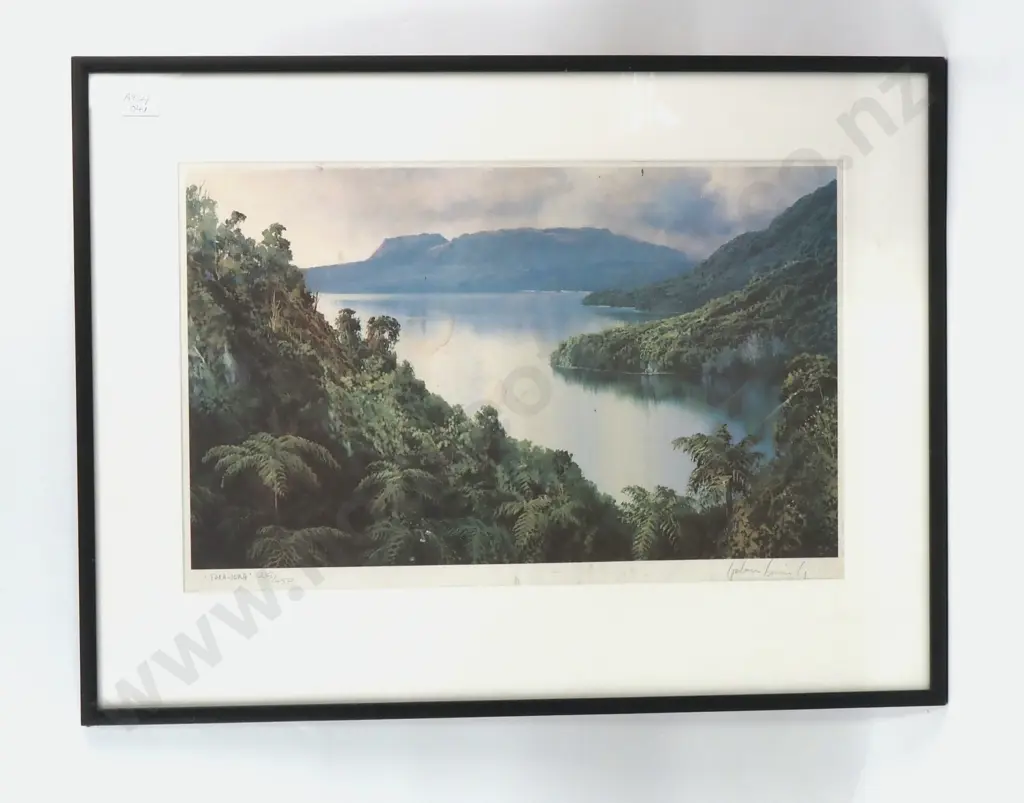 Graham Brinsley - Tarawera, Print Image 1++