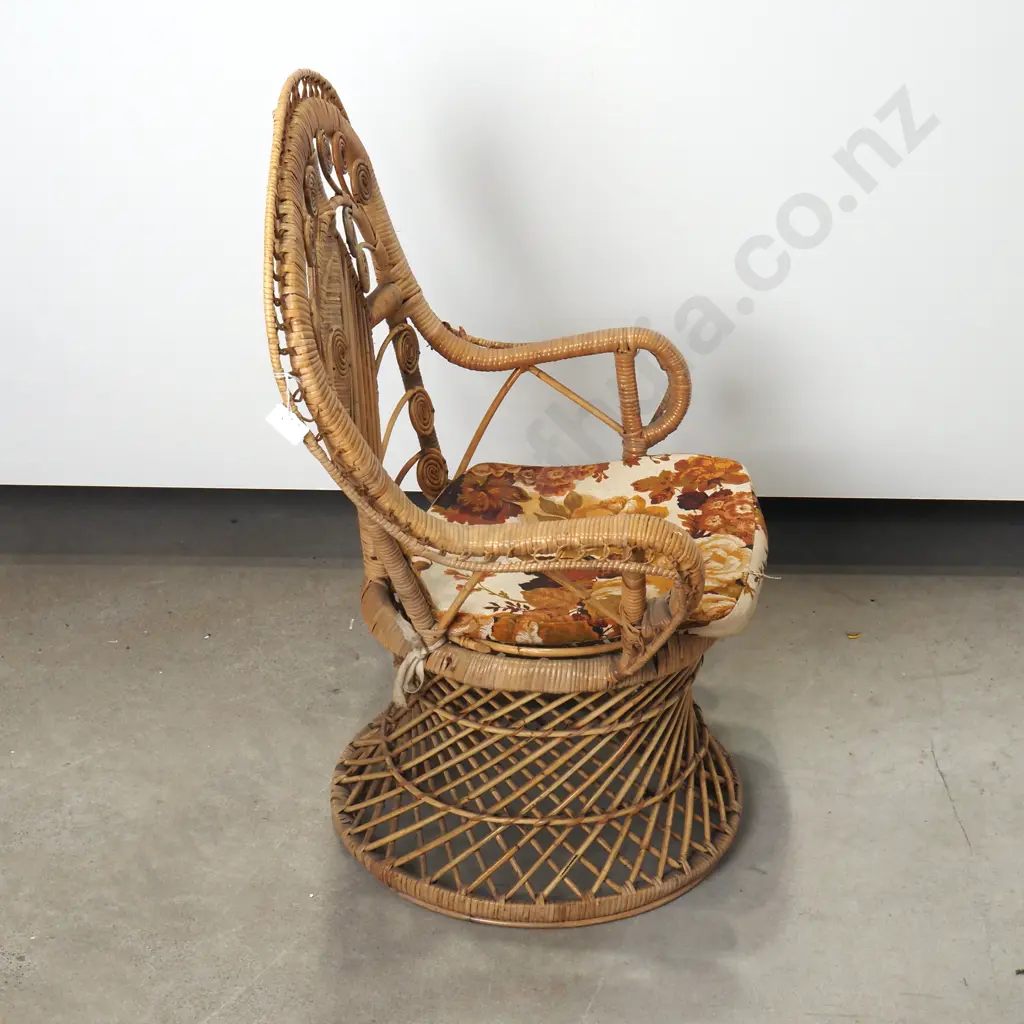 Vintage Cane Child's Peacock Chair Image 1++
