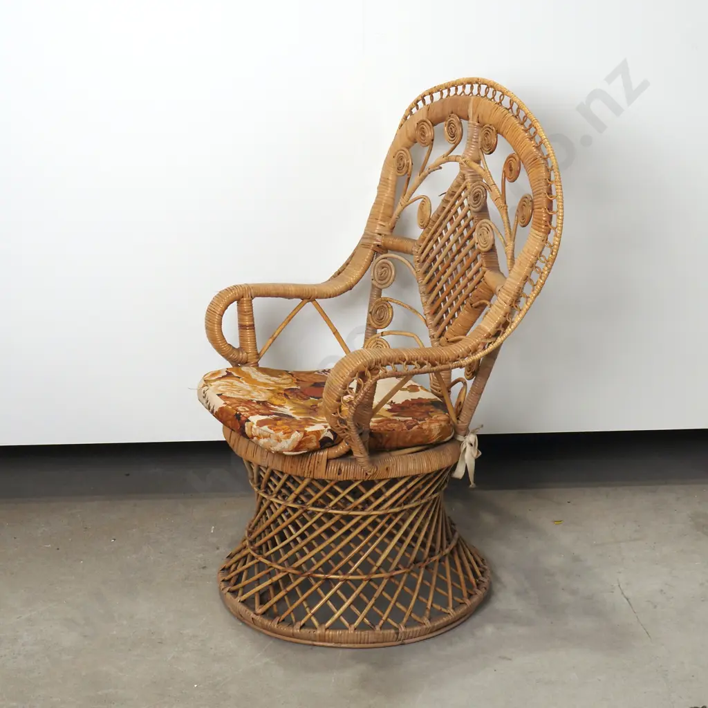 Vintage Cane Child's Peacock Chair Image 1++