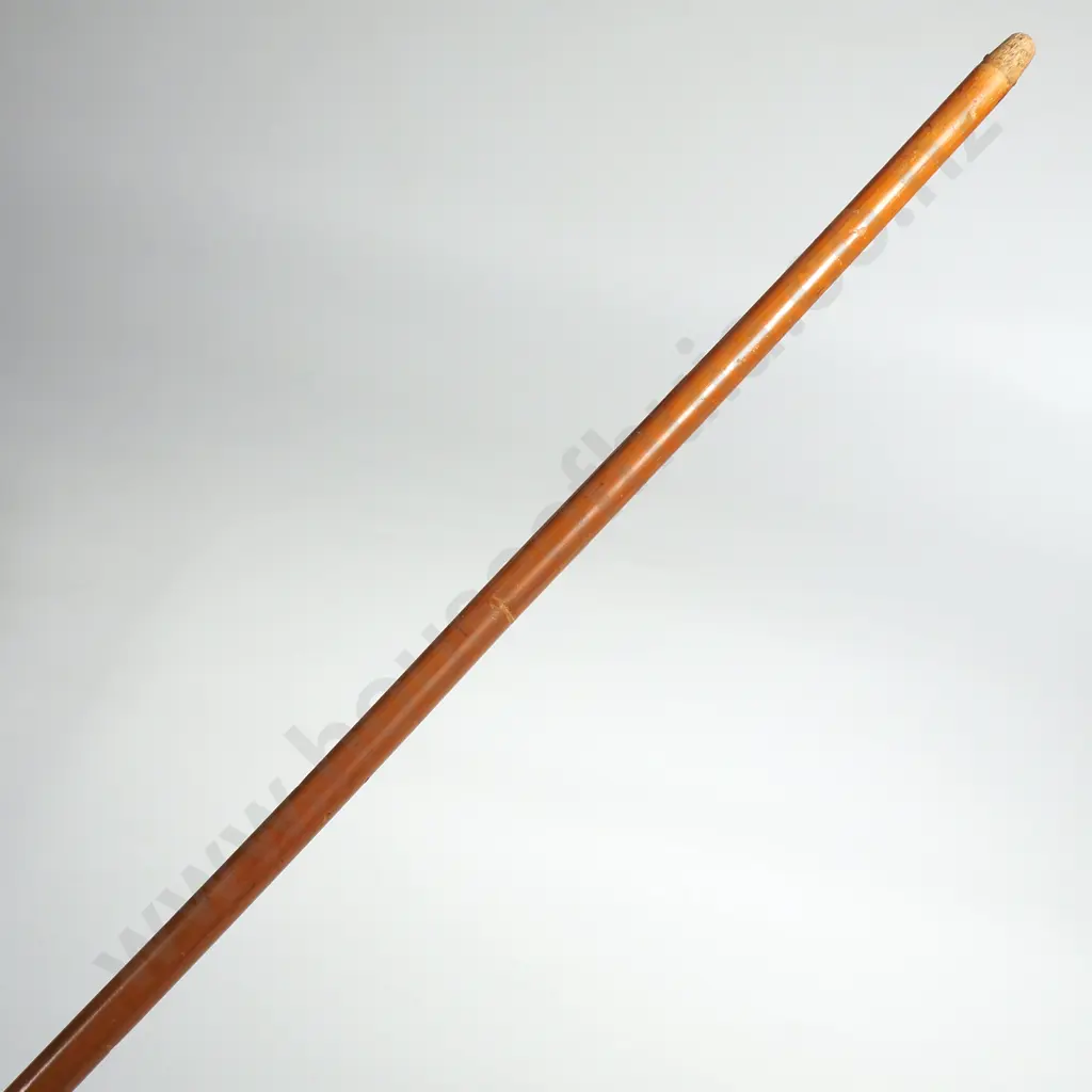 Sterling Silver Mounted Pointer Cane London 1883 Image 1++