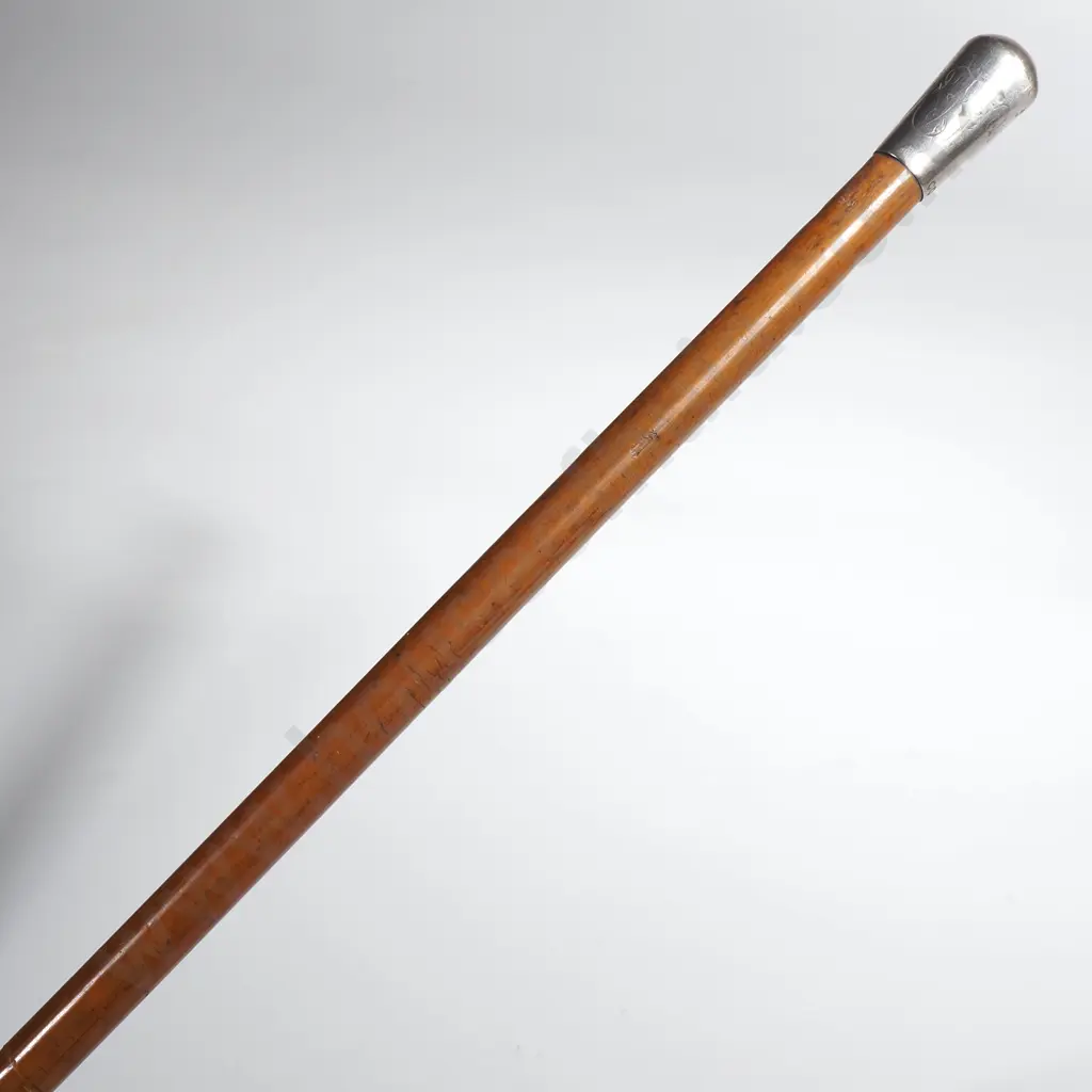 Sterling Silver Mounted Pointer Cane London 1883 Image 1++