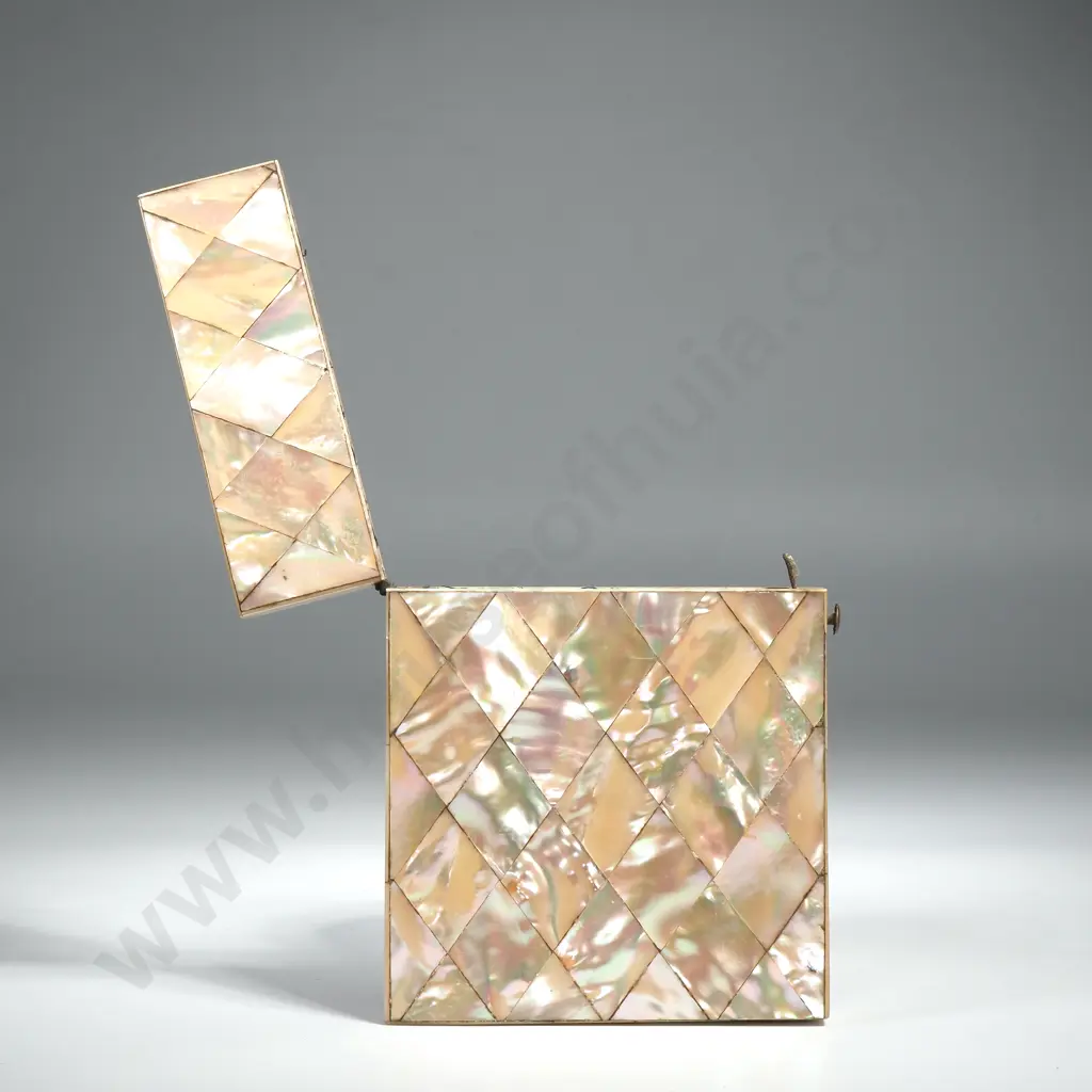 Victorian Mother Of Pearl Visiting Card Case Image 1++