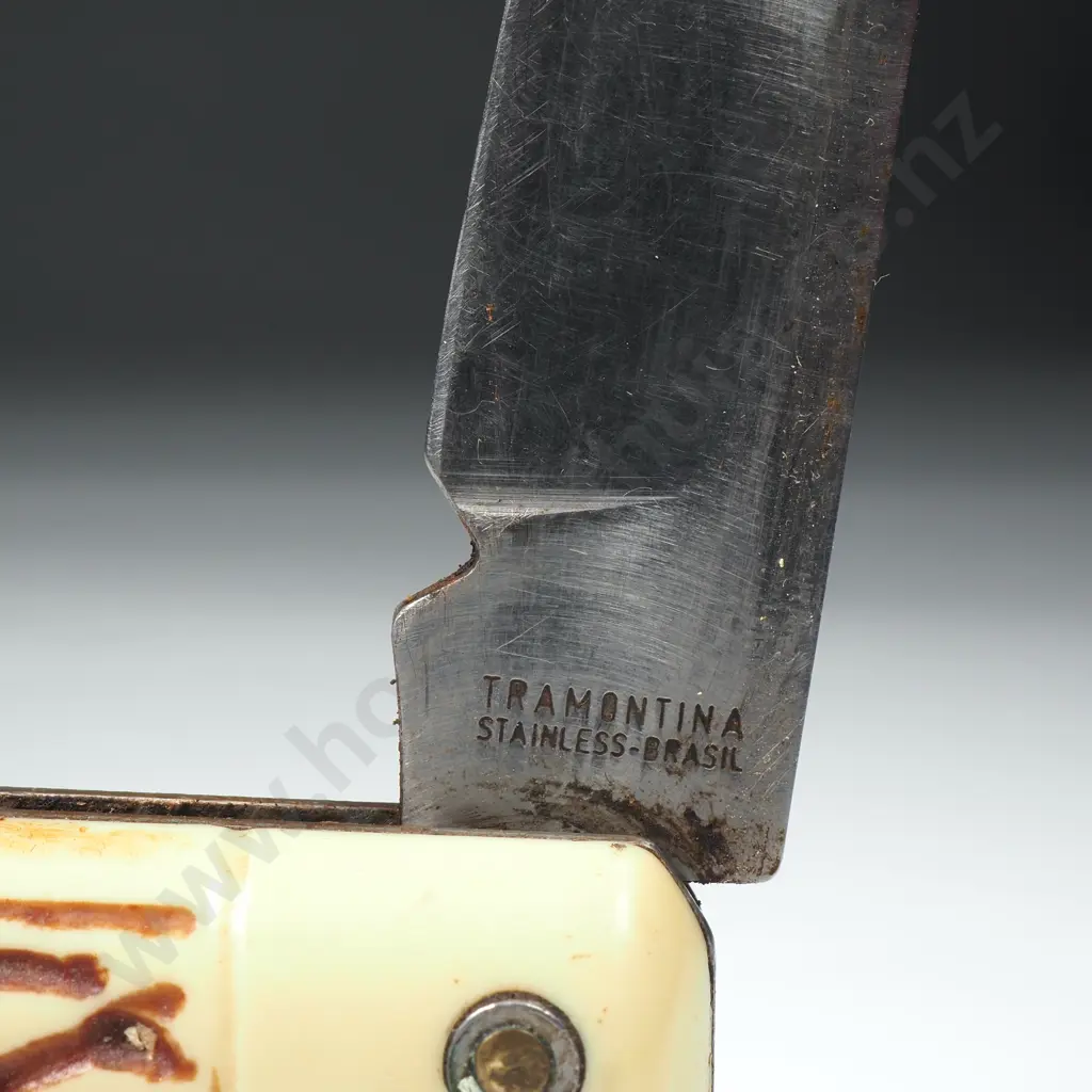 Bone Handled Pocket Knife Image 1++