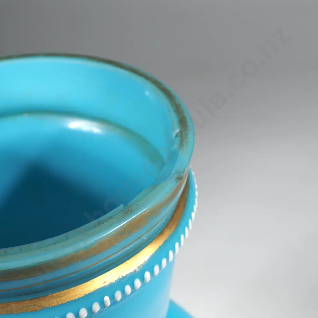 French Glass Plique a jour Vase A/F Image 1++