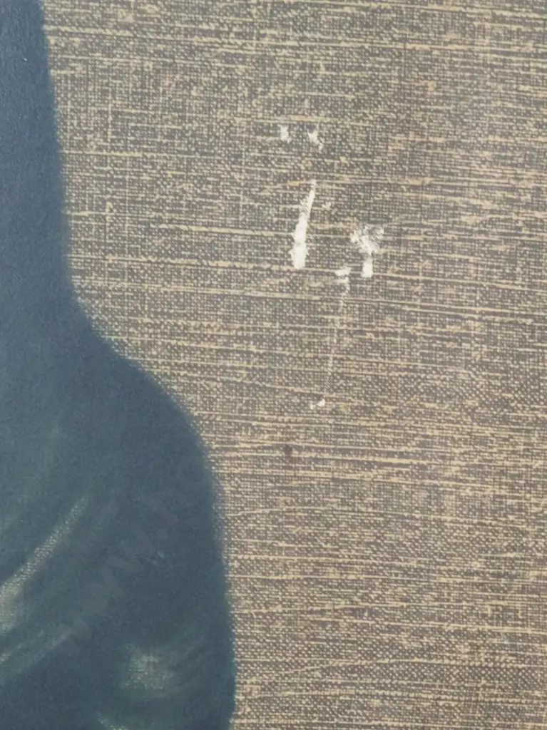 Vladimir Tretchikoff - 'Miss Wong' Mid Century Print Image 1++