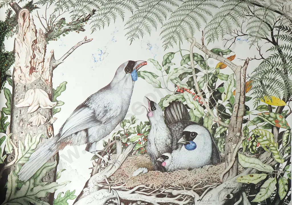 Rei Hamon. Kokako. 1979. No 130. Signed and Annotated '1979 1340/2000' in Pencil. Limited Edition Print. Image 1++