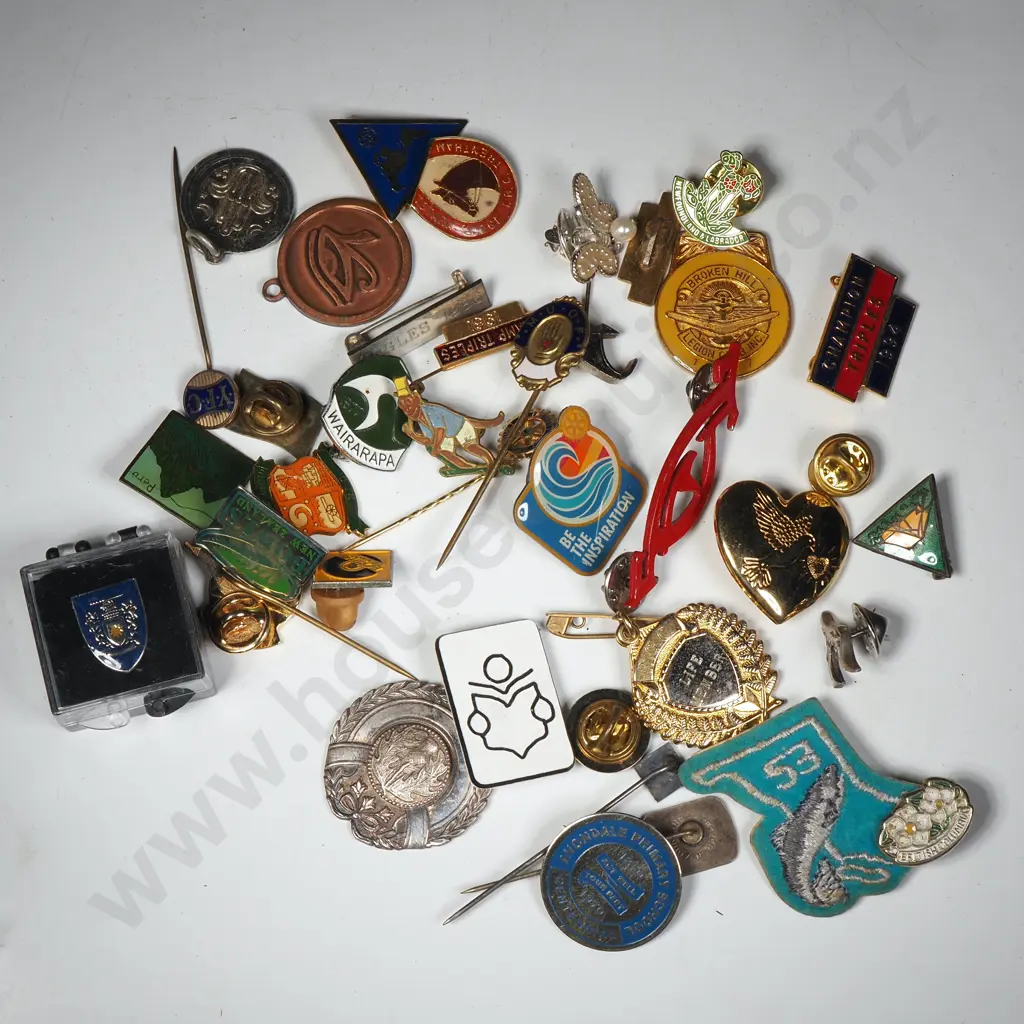 Assorted Lot Of Mainly New Zealand Badges & Buttons Image 1++