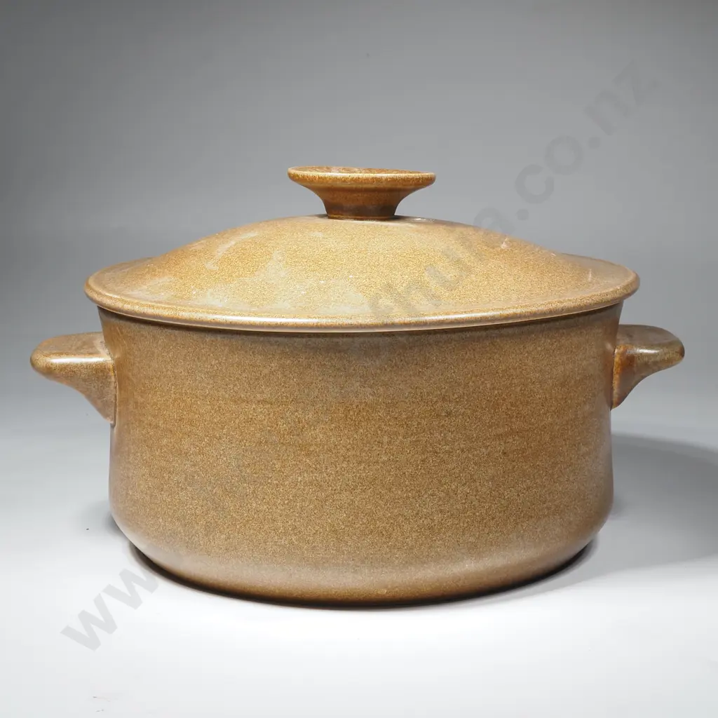 Vintage Temuka Casserole Dish Image 1++