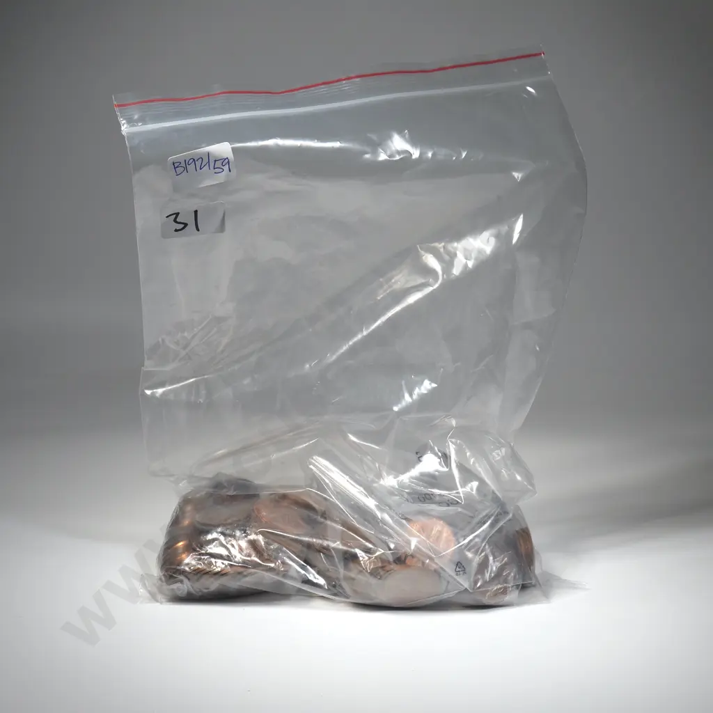 2.5 KG of New Zealand 1960's Pennies - Bagged by Year Image 1++