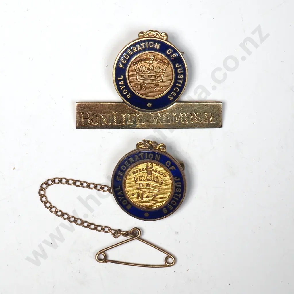 Two Justice of the Peace Pins  Image 1++