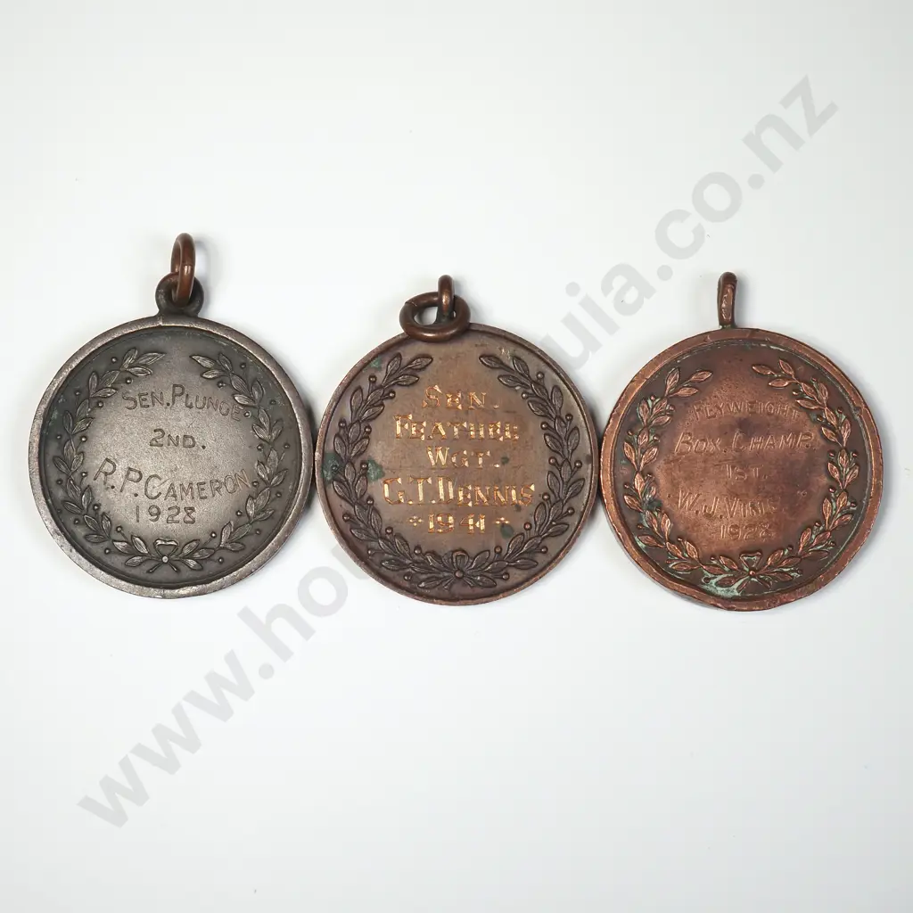 Three Wellington College bronze Prize Medals Image 1++