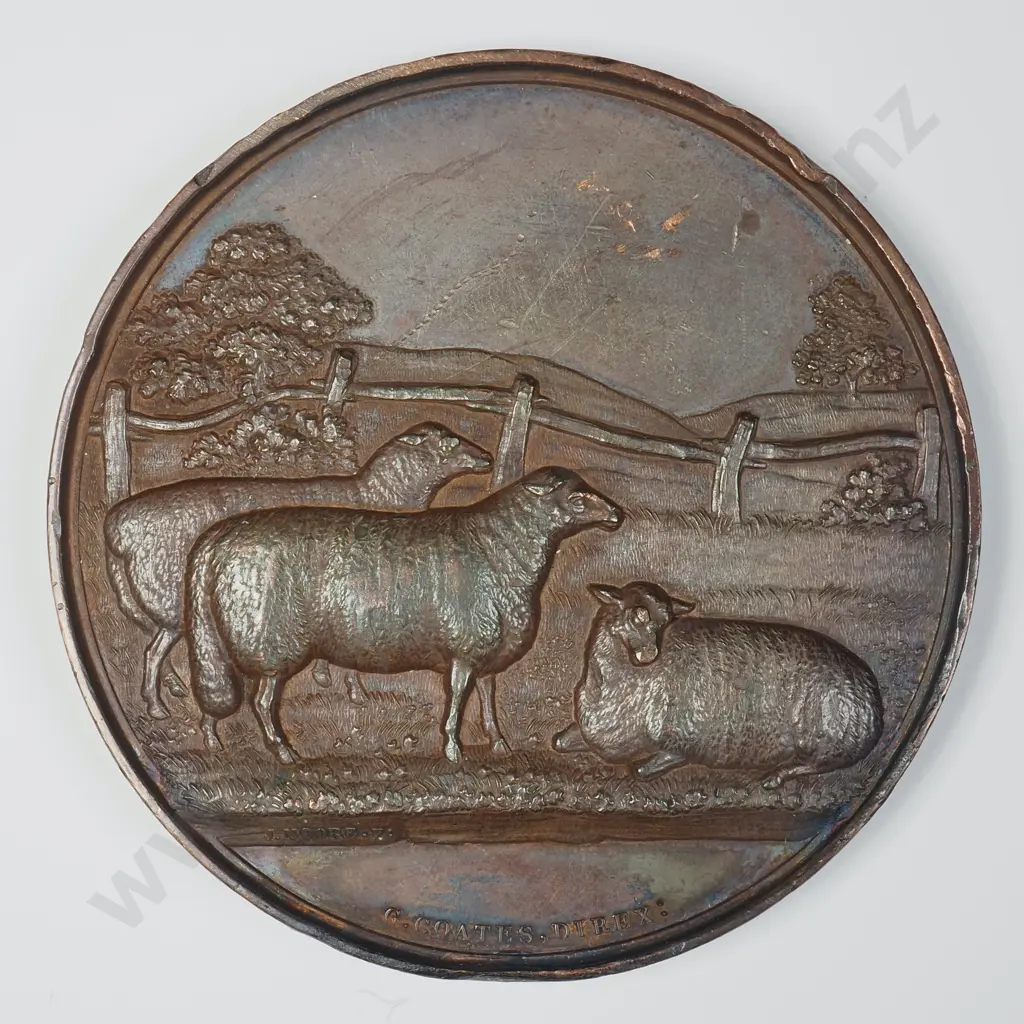 1865 Canterbury A&P Show Medal Image 1++