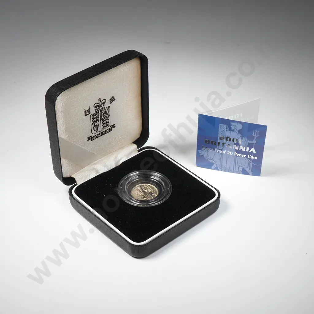 2001 UK Silver Proof 20 Pence Coin Image 1++