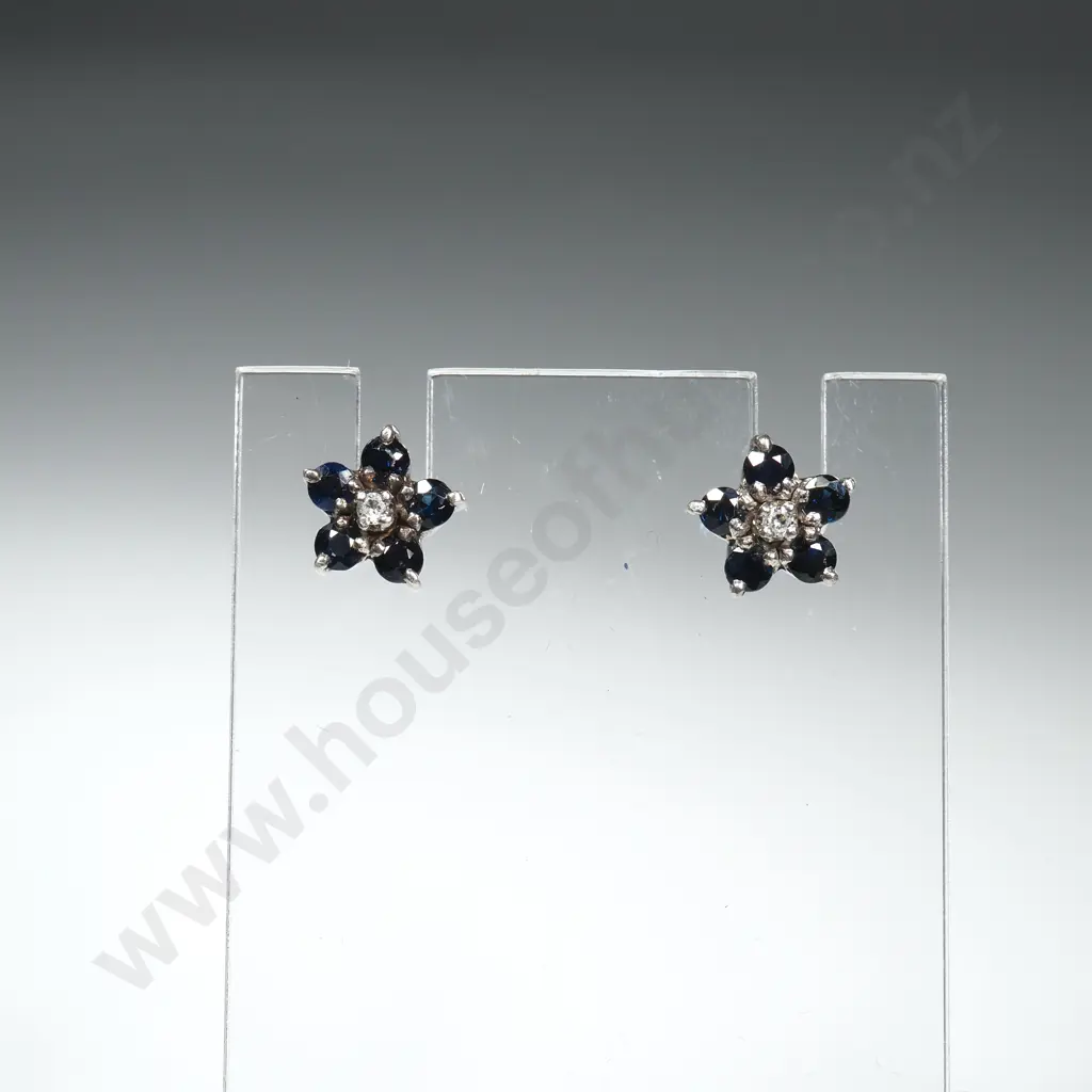 Sterling Silver & Gem Earrings Image 1++