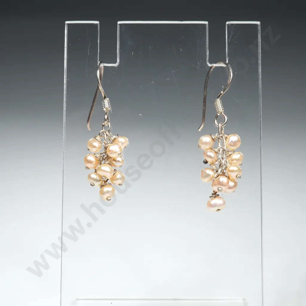 Sterling Silver Earrings Image 1++