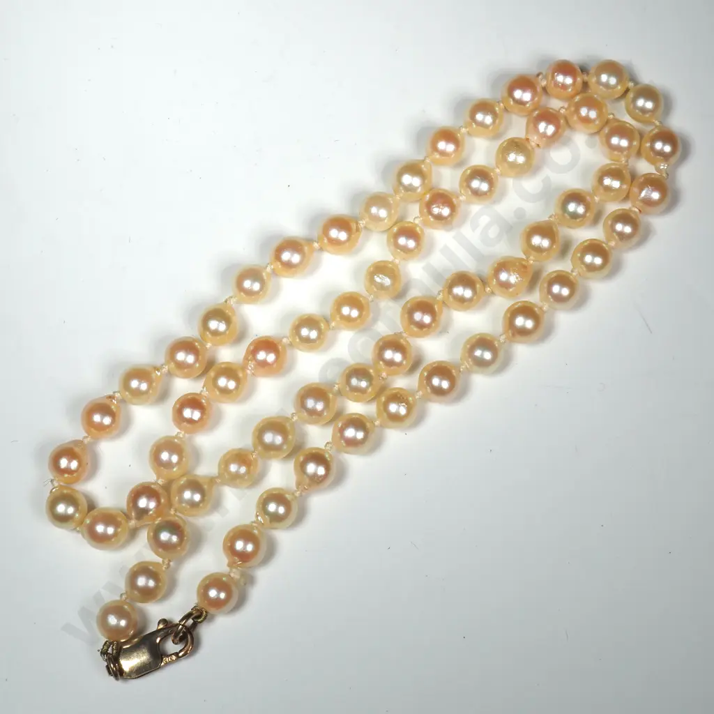Strand of Pearls w 14ct Gold Parrot Clasp Image 1++