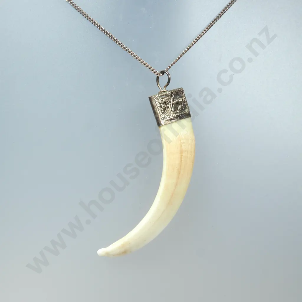 Vintage Sterling Silver And Tusk Pendant With Sterling Silver Chain Image 1++