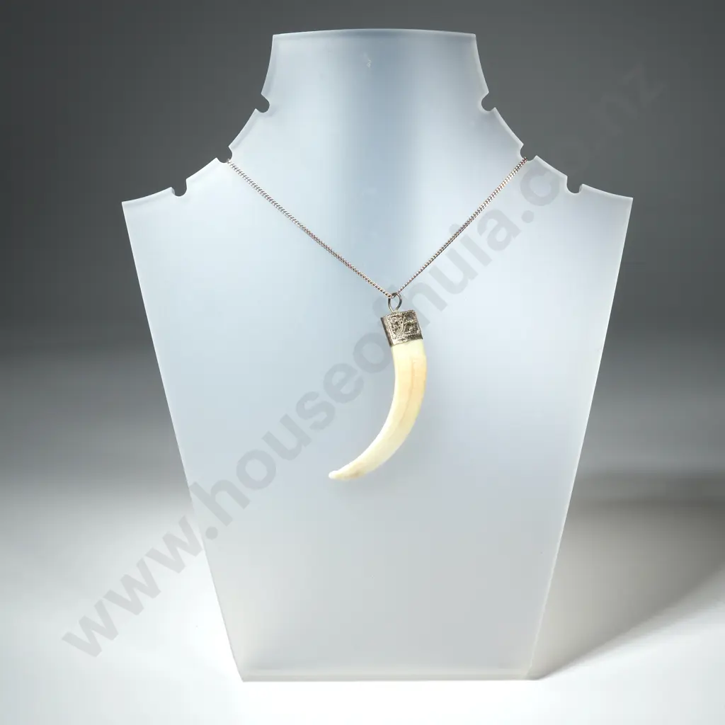 Vintage Sterling Silver And Tusk Pendant With Sterling Silver Chain Image 1++