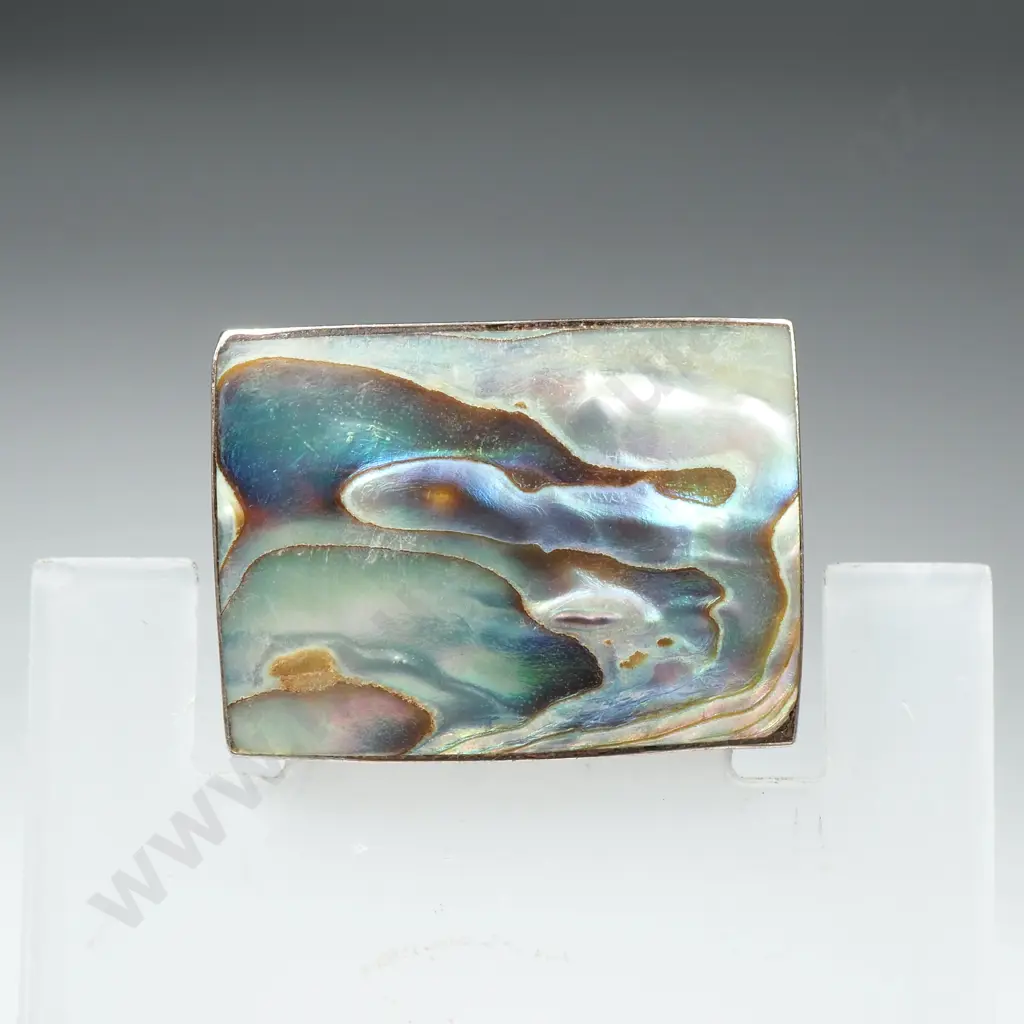 Vintage Sterling Silver And Paua Shell Brooch Image 1++