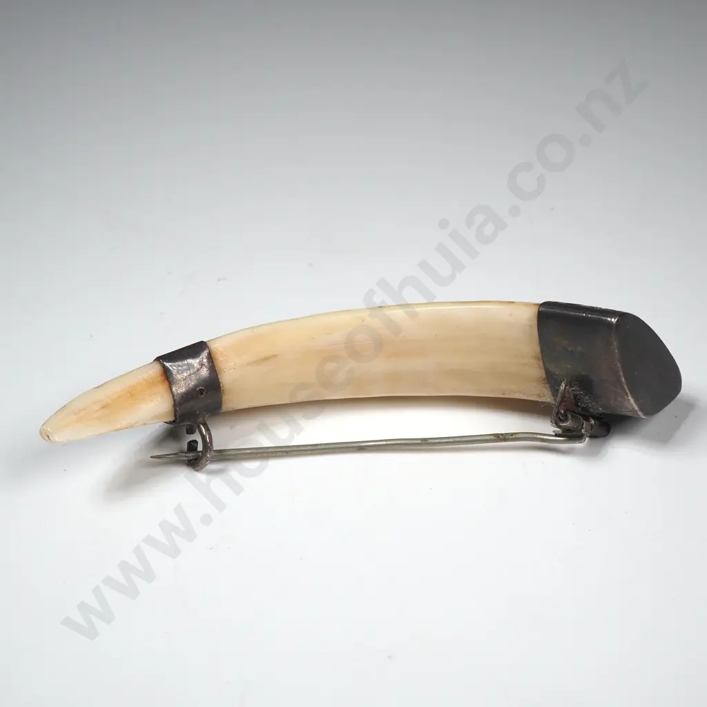 Large Antique Sterling Silver And Tusk Brooch Image 1++