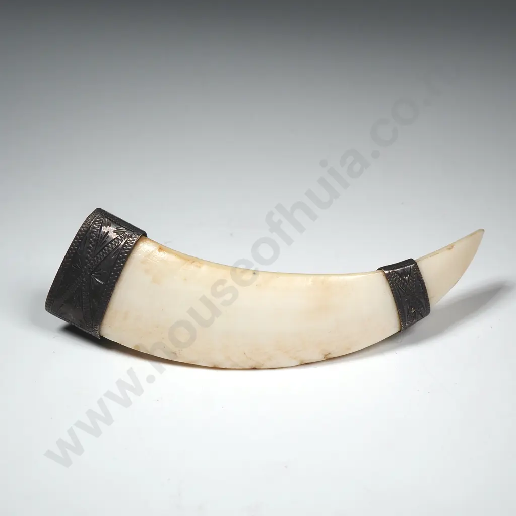 Large Antique Sterling Silver And Tusk Brooch Image 1++