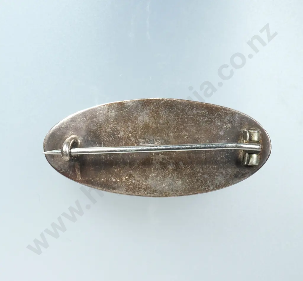 Vintage Sterling Silver And Paua Shell Brooch Image 1++