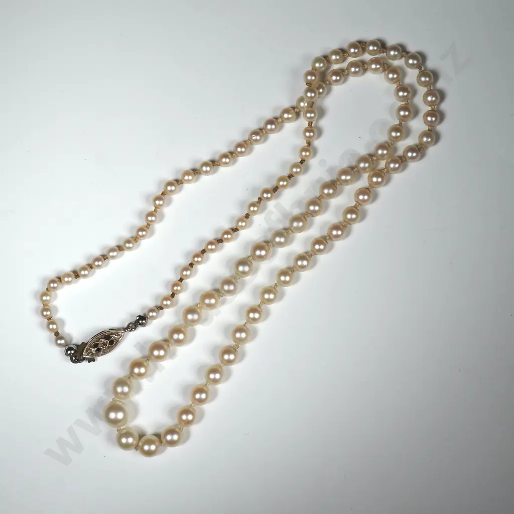 Vintage Strand of Pearls on Sterling Silver Necklace Image 1++