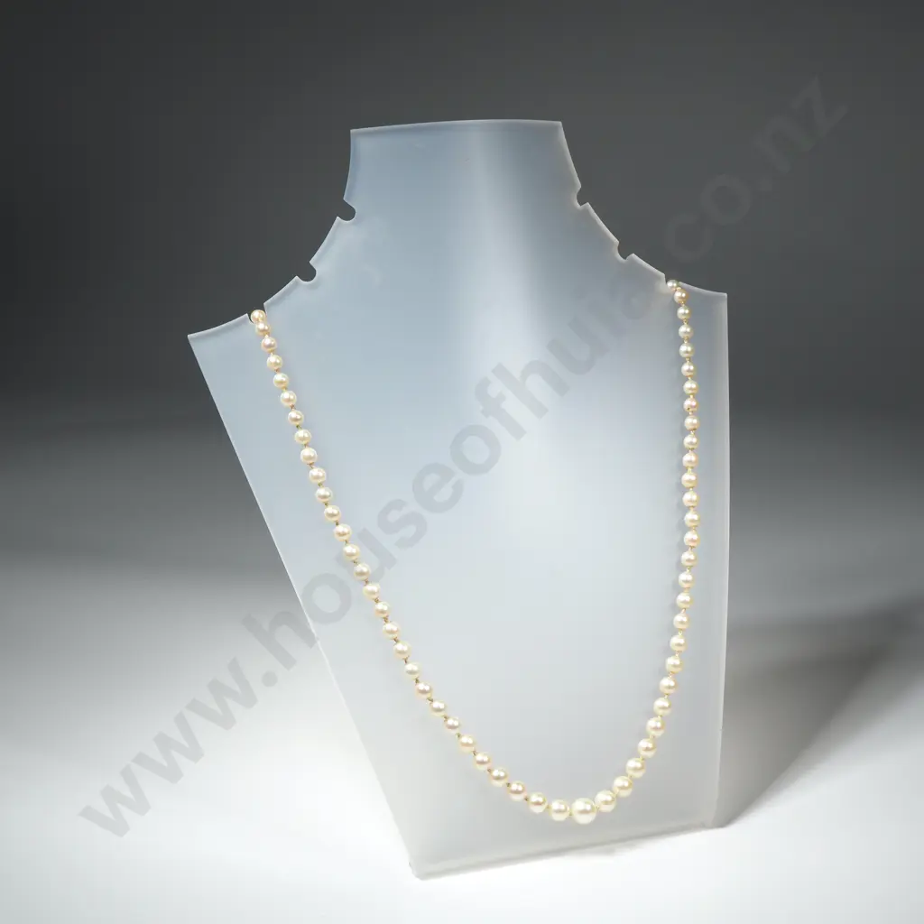 Vintage Strand of Pearls on Sterling Silver Necklace Image 1++