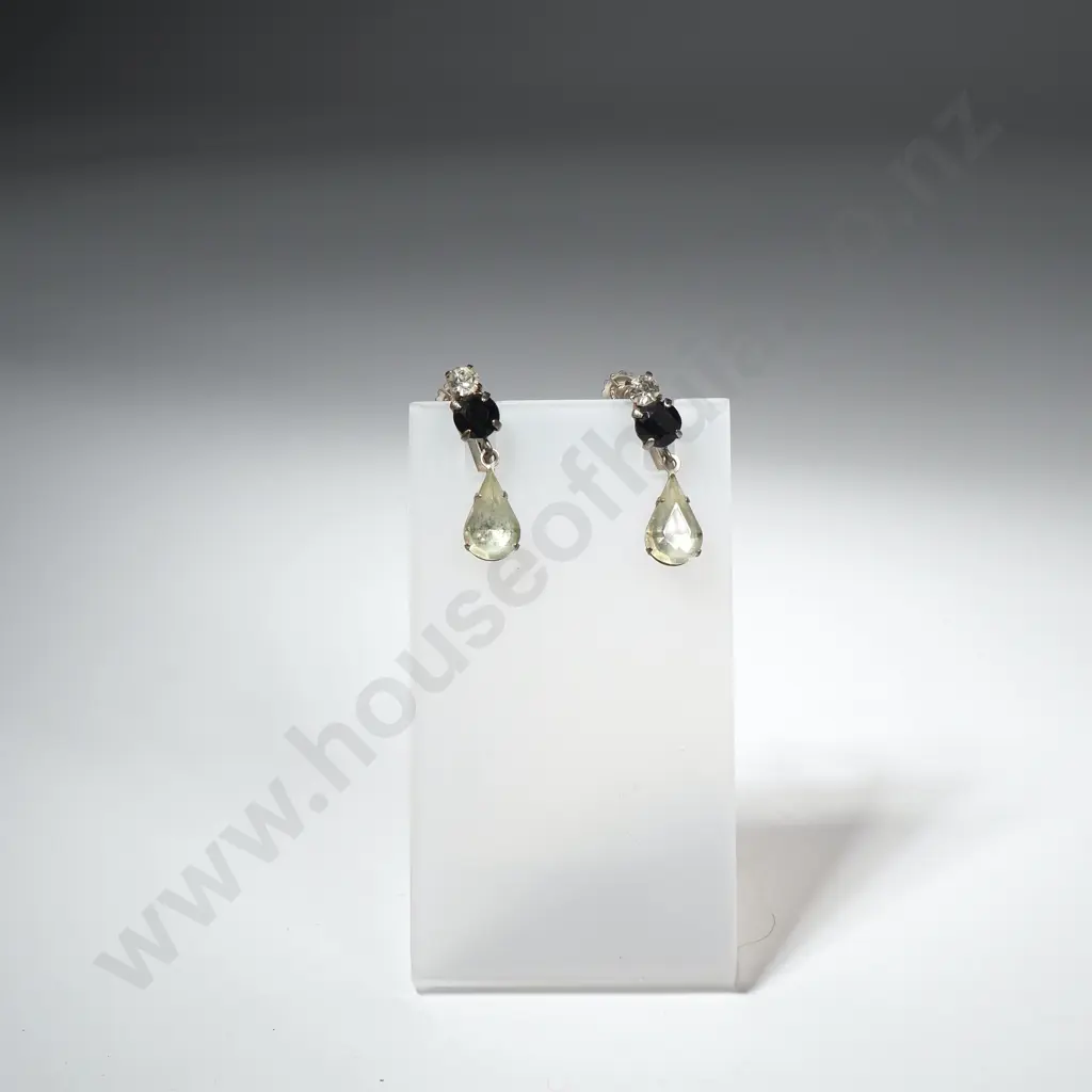 Pair of Costume Earrings Image 1++