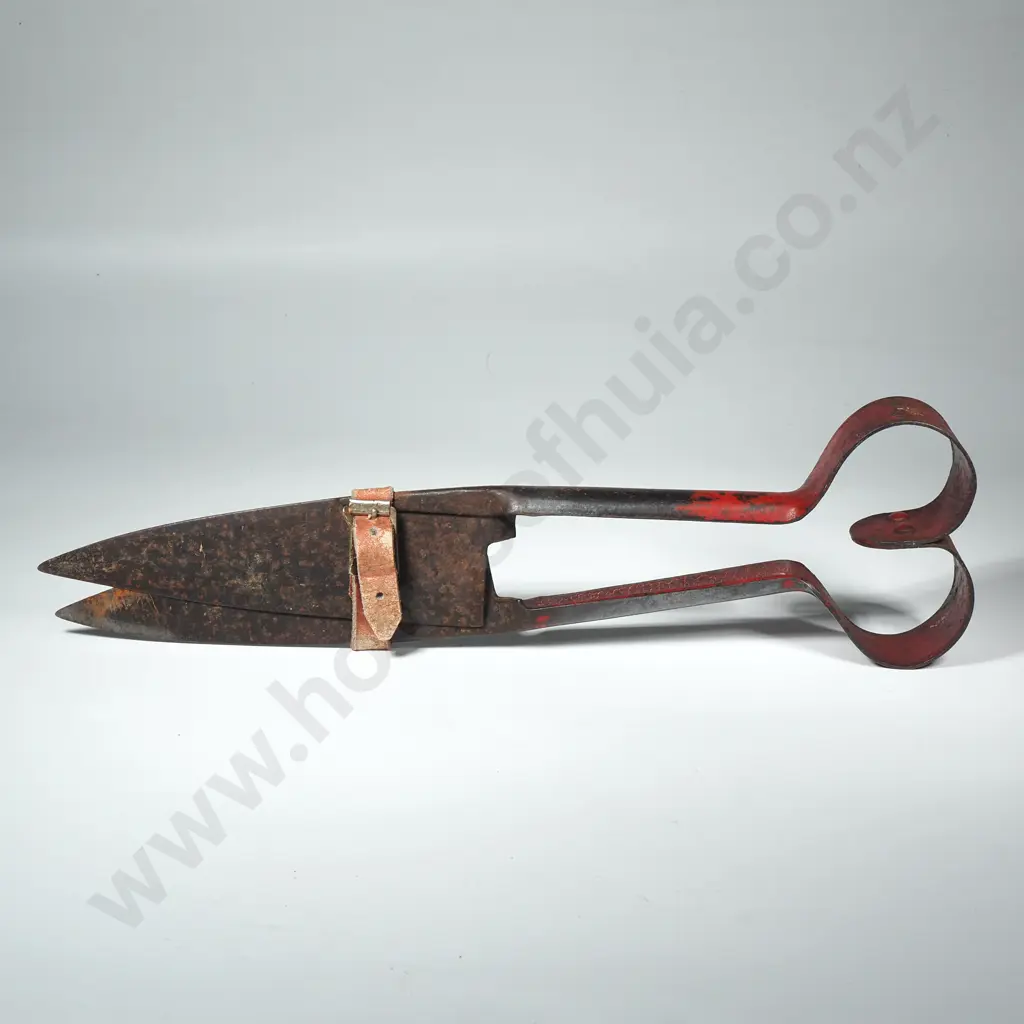 Vintage Sheep Shears Image 1++