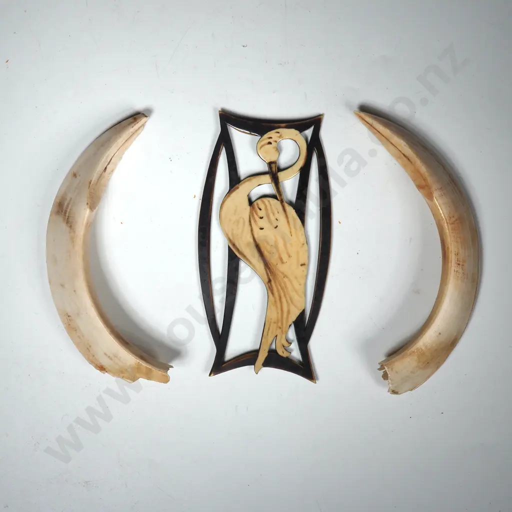 Two Boar's Tusks & A Art Deco Belt Buckle? Depicting A Pelican In Faux Tortoiseshell  Image 1++