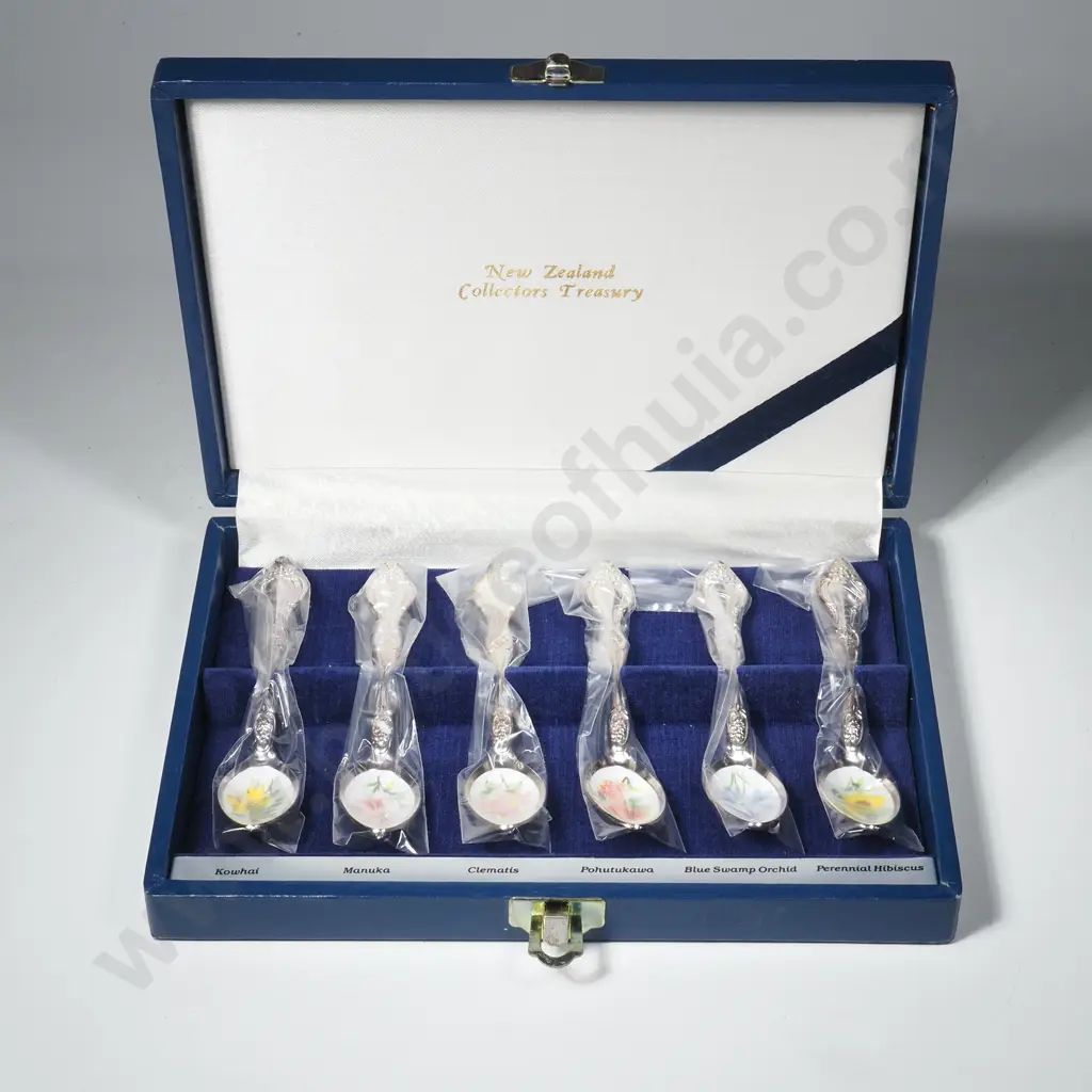 Boxed New Zealand Wild Flower Spoon Collection Set Image 1++