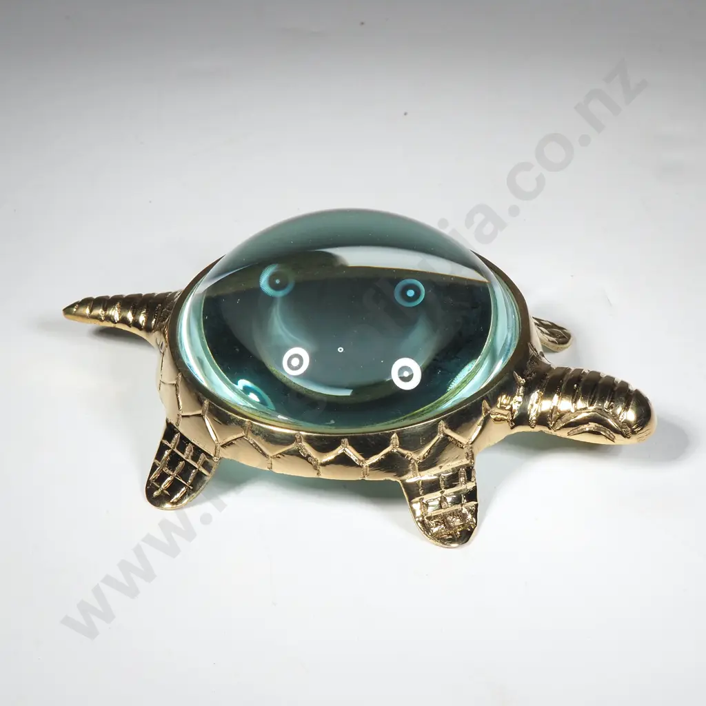 Turtle Shaped Magnifying Glass Image 1++