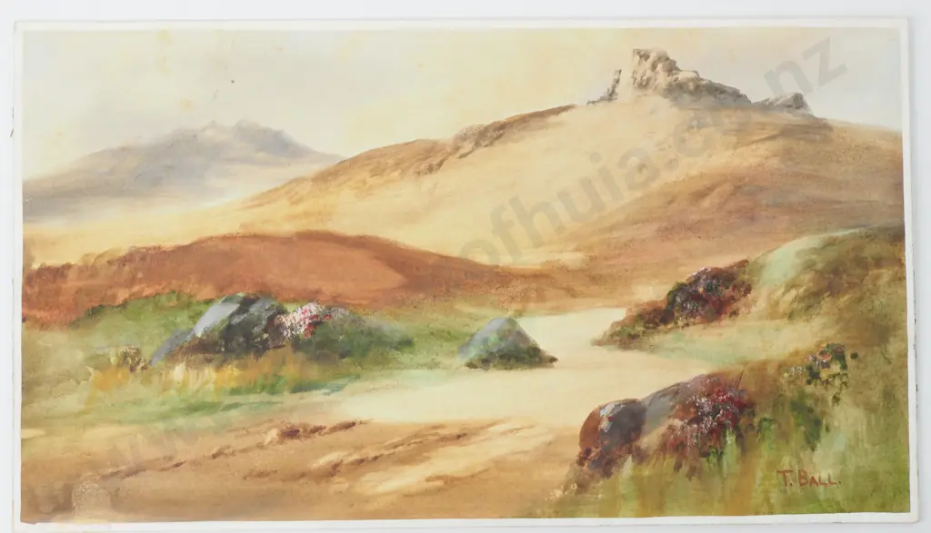 T Ball - Hay for Dartmoor, Watercolour Image 1++