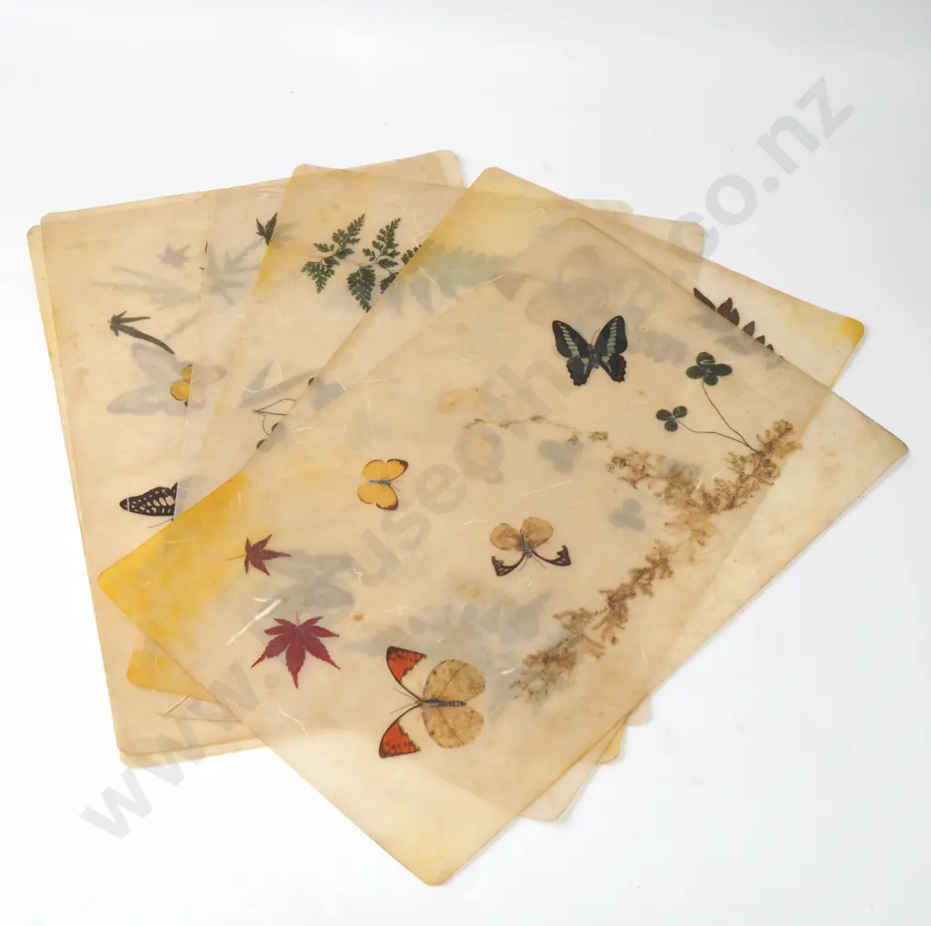Six Pressed Flower & Butterfly Placemats Image 1++