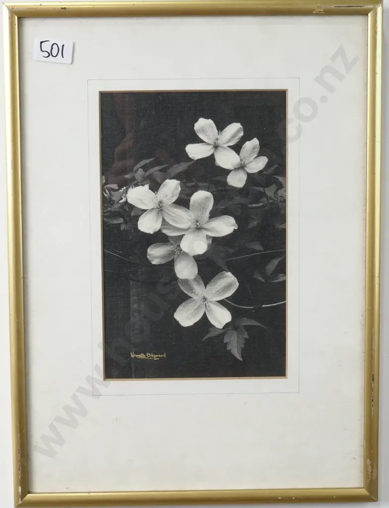 Kenneth Bigwood- Clematis Montana Rubens, Black & White Photograph Image 1++