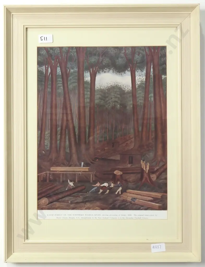 Charles Heaphy - Kauri forest, Wairoa River, Kaipara. Print Image 1++