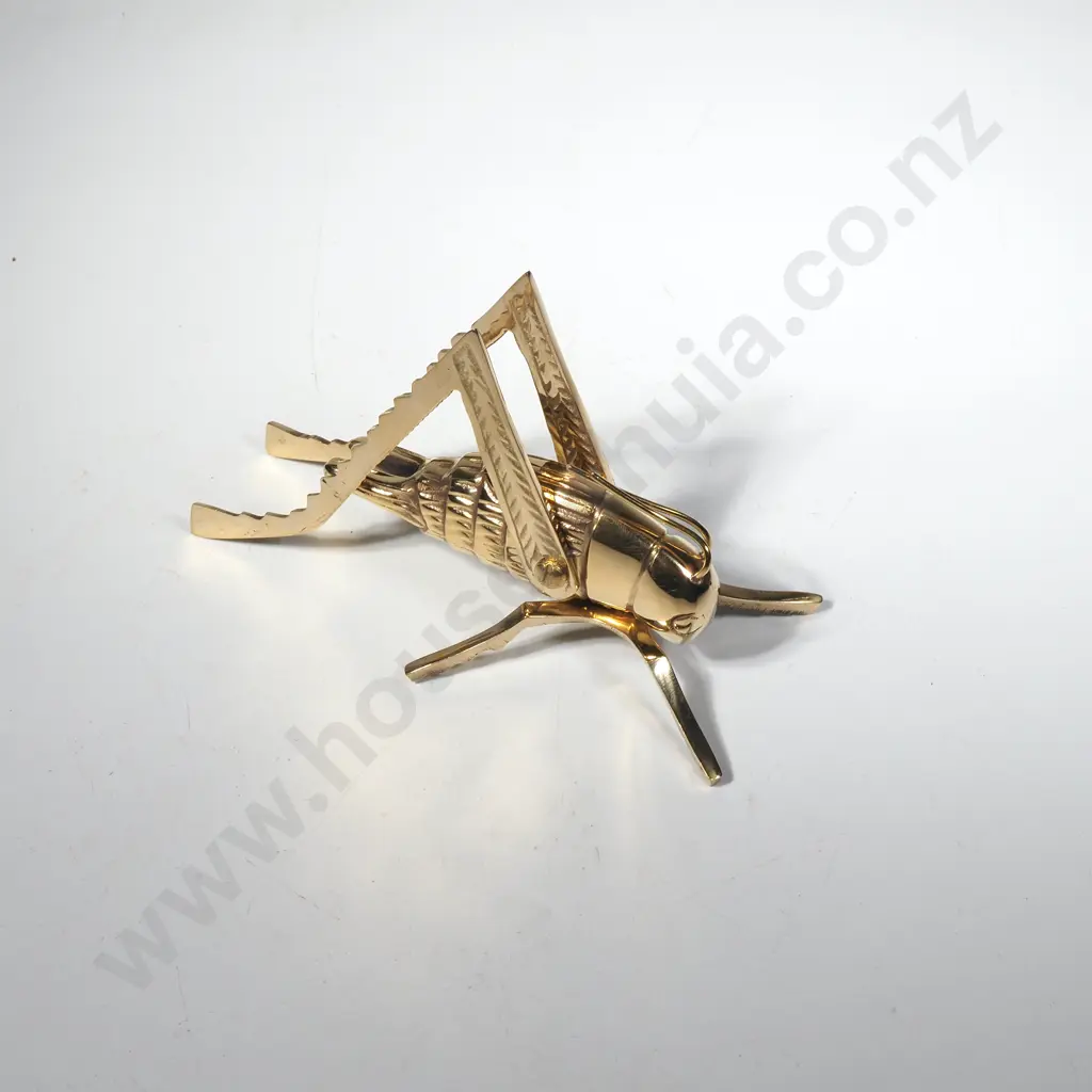 Polished Brass Cricket Image 1++