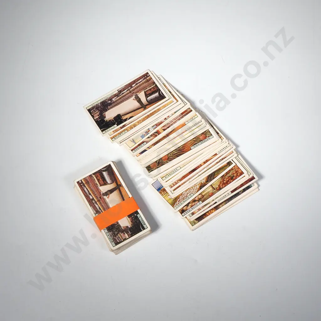 World Products, Products of the World. Image 1++