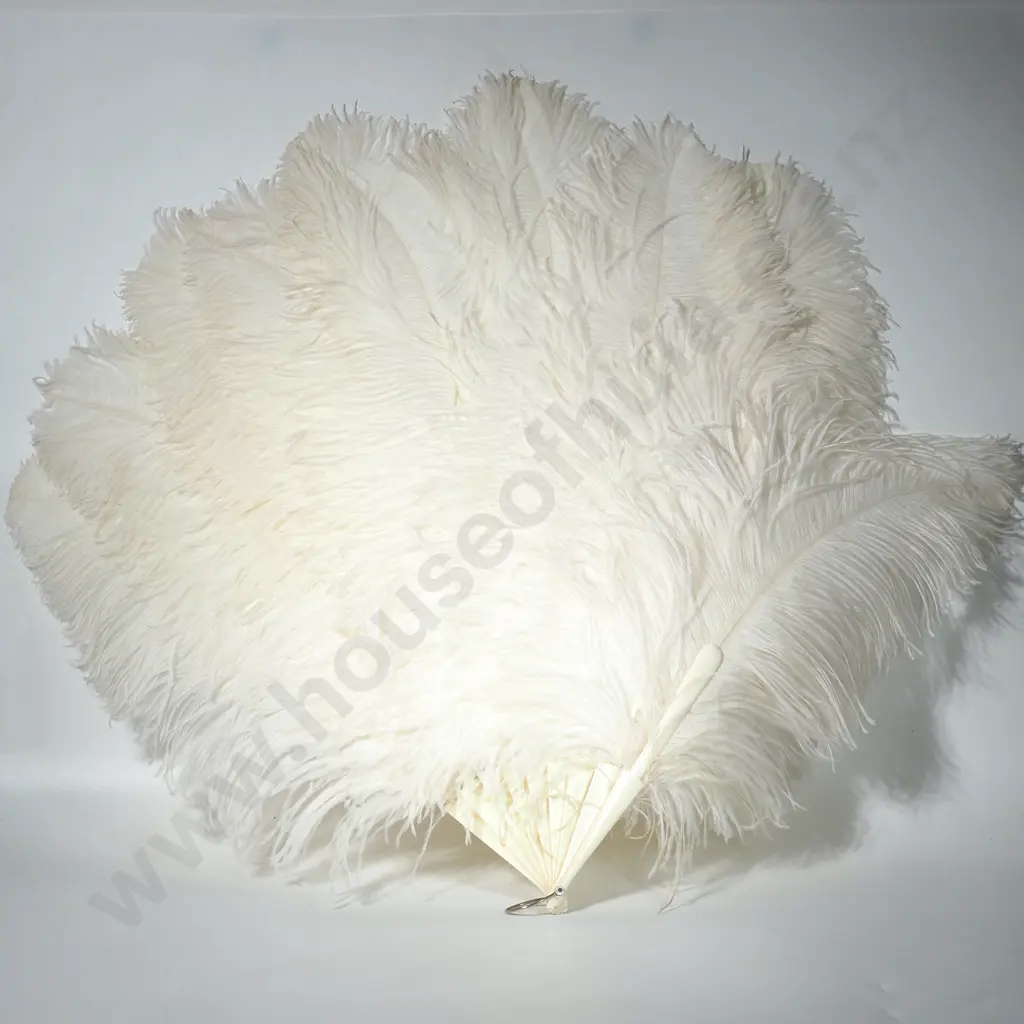 Large Antique Ivory & Ostrich Feather Fan w Extra Feathers Image 1++