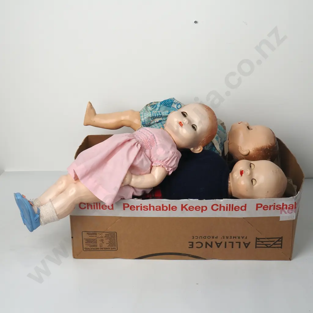 Assorted lot of Pedigree made in New Zealand Dolls Image 1++