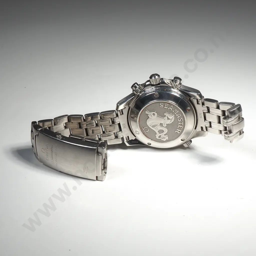 Omega Seamaster Professional Chronometer Wristwatch Image 1++