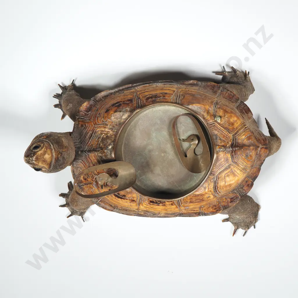 Antique Victorian Taxidermy Tortoise Ashtray Image 1++