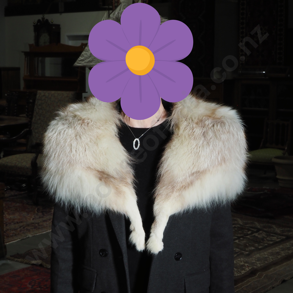 Artic Fox Shawl Image 1++