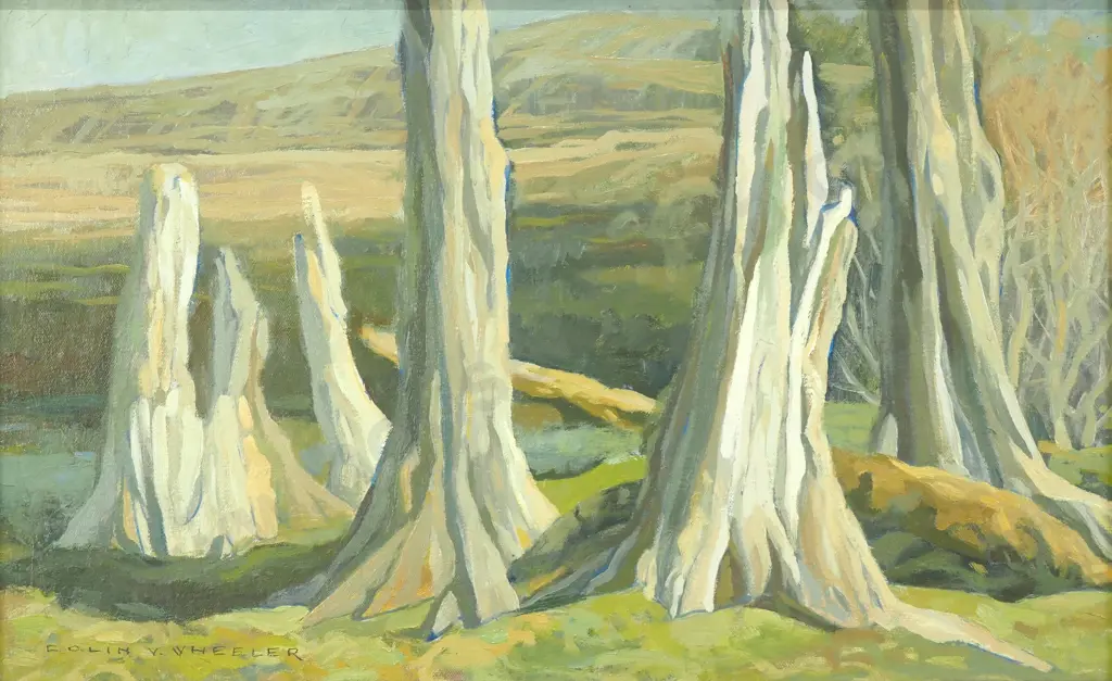 Colin Wheeler - 'Tree Trunks at Corridale North Otago', Oil Image 1++