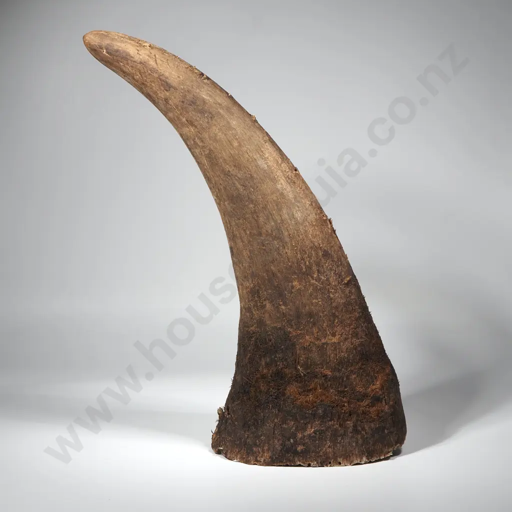 Three Kilograms of Rhino Horn Image 1++