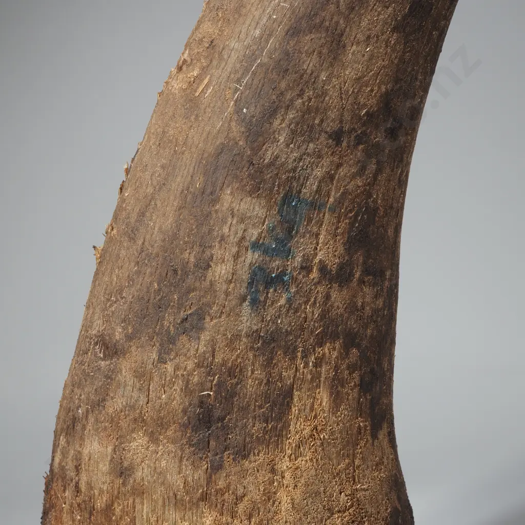 Three Kilograms of Rhino Horn Image 1++