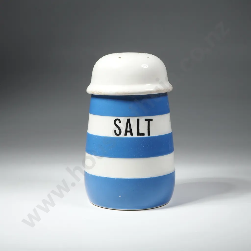A Vintage T.G. Green  Cornishware Salt Shaker with the Green Shield Mark Image 1++