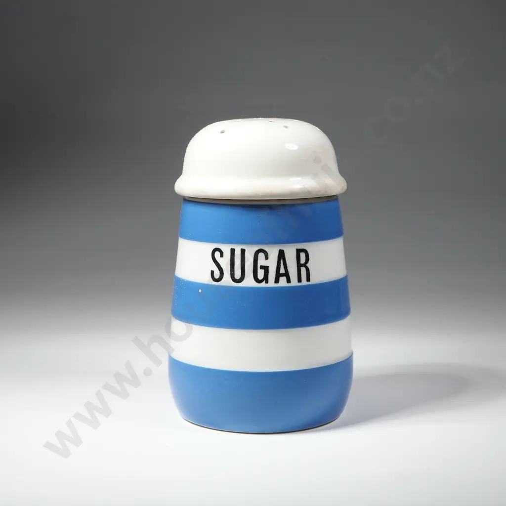 A Vintage T.G. Green  Cornishware Sugar  Shaker/Sifter with the Green Shield Mark Image 1++