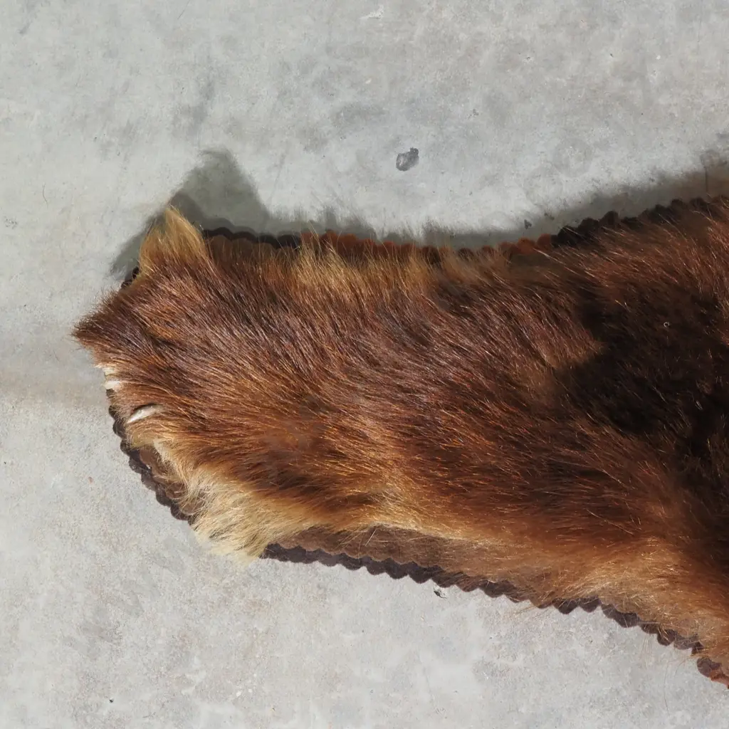 Brown Bear Skin Mounted w Head Image 1++